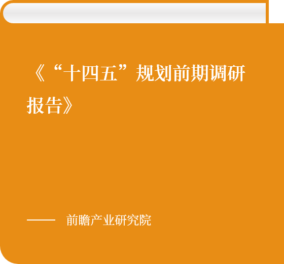 《“十四五”規劃前期調研報告》
