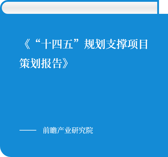 《“十四五”規劃支撐項目策劃報告》
