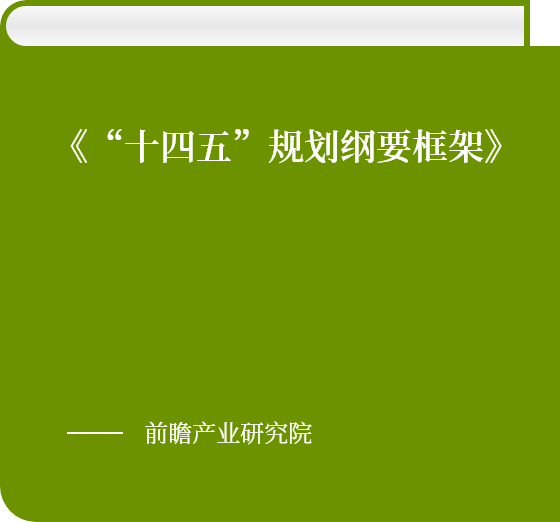 《“十四五”規劃綱要框架》
