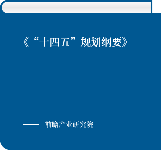 《“十四五”規劃綱要》